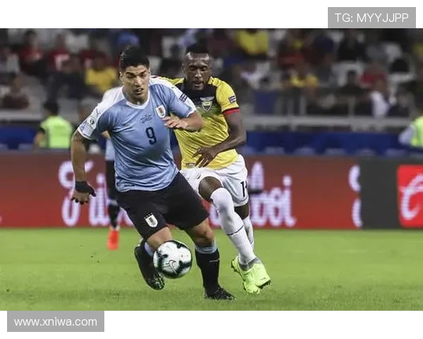 ✅体育直播🏆世界杯直播🏀NBA直播⚽- 浙江区域观察：高速如何奏响山海协作“共富曲”？- sports