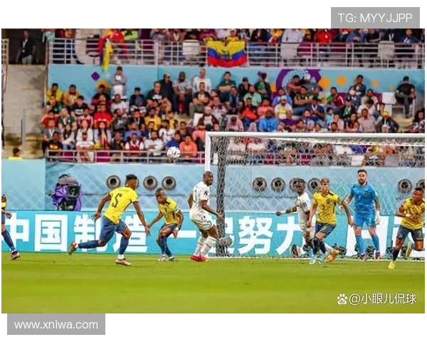 世界杯日本和塞内加尔世界杯体育论坛